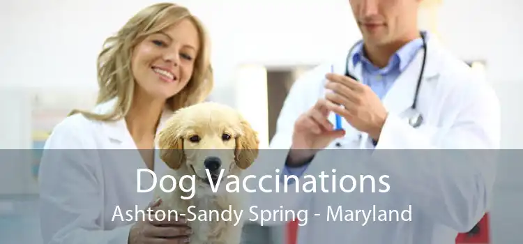 Dog Vaccinations Ashton-Sandy Spring - Maryland