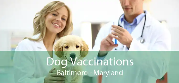 Dog Vaccinations Baltimore - Maryland