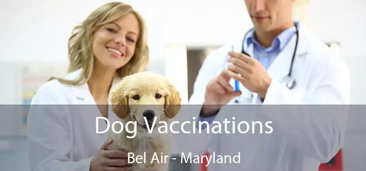 Dog Vaccinations Bel Air - Maryland