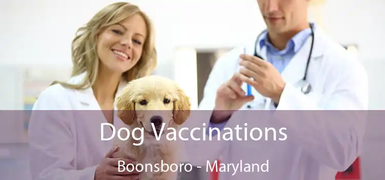 Dog Vaccinations Boonsboro - Maryland