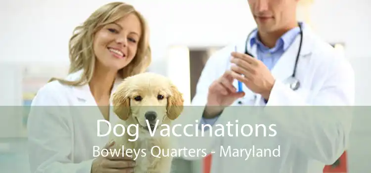 Dog Vaccinations Bowleys Quarters - Maryland