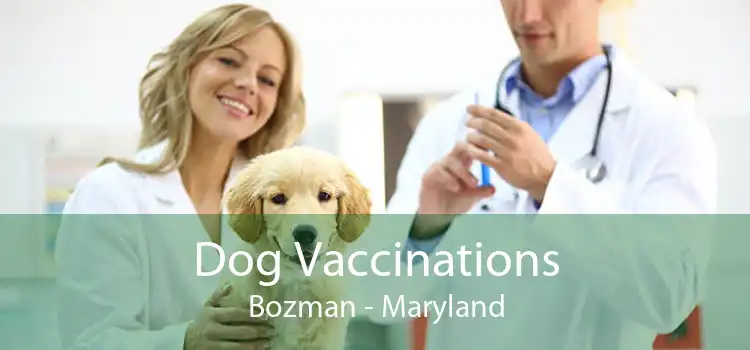 Dog Vaccinations Bozman - Maryland