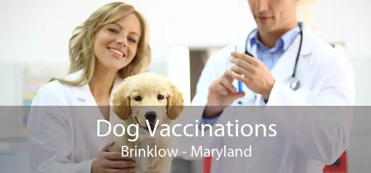 Dog Vaccinations Brinklow - Maryland