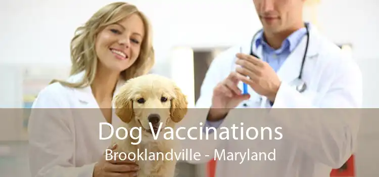 Dog Vaccinations Brooklandville - Maryland