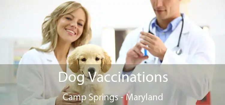 Dog Vaccinations Camp Springs - Maryland
