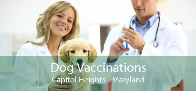 Dog Vaccinations Capitol Heights - Maryland