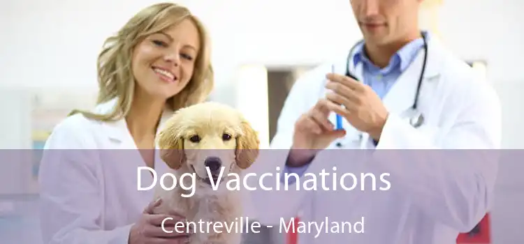 Dog Vaccinations Centreville - Maryland