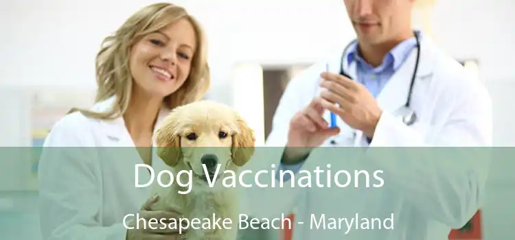 Dog Vaccinations Chesapeake Beach - Maryland