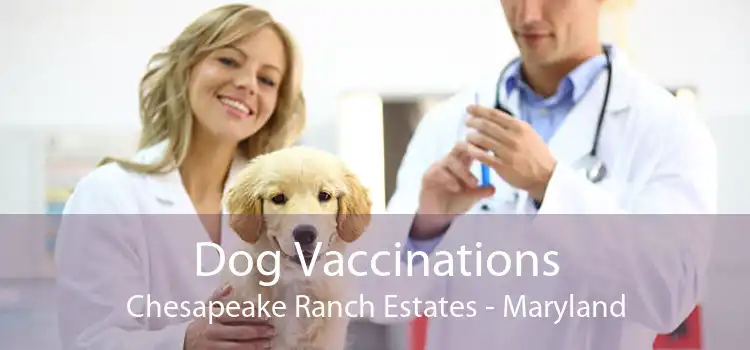 Dog Vaccinations Chesapeake Ranch Estates - Maryland