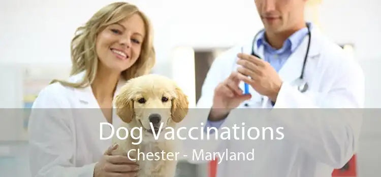 Dog Vaccinations Chester - Maryland