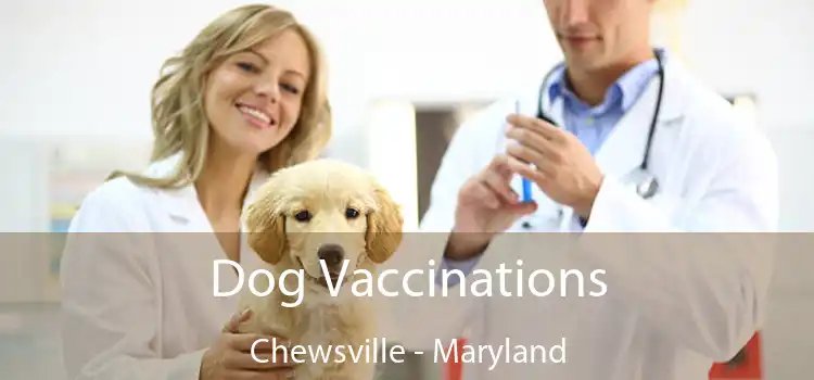 Dog Vaccinations Chewsville - Maryland