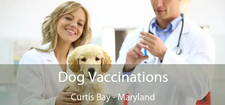 Dog Vaccinations Curtis Bay - Maryland