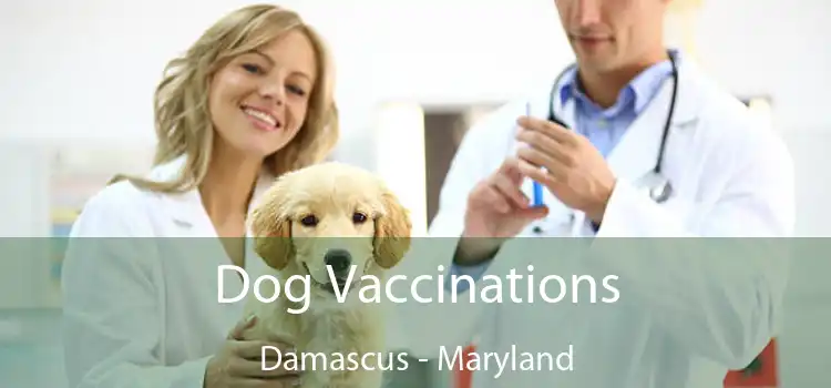 Dog Vaccinations Damascus - Maryland