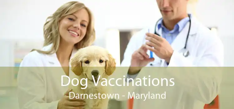 Dog Vaccinations Darnestown - Maryland