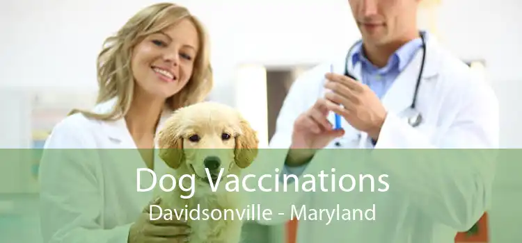 Dog Vaccinations Davidsonville - Maryland
