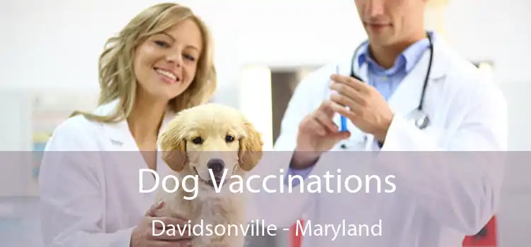 Dog Vaccinations Davidsonville - Maryland