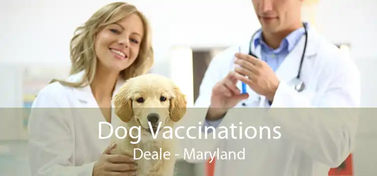Dog Vaccinations Deale - Maryland