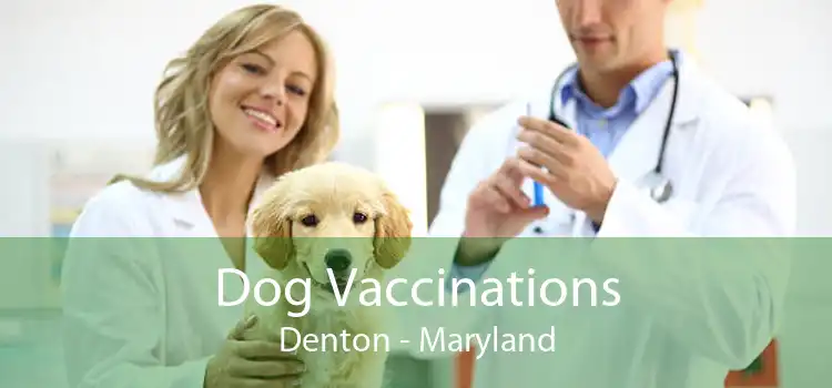 Dog Vaccinations Denton - Maryland