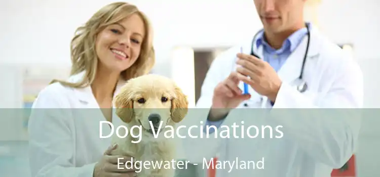Dog Vaccinations Edgewater - Maryland