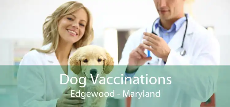 Dog Vaccinations Edgewood - Maryland