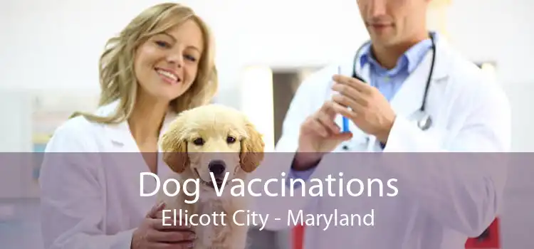 Dog Vaccinations Ellicott City - Maryland