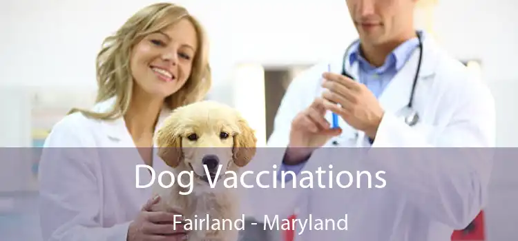 Dog Vaccinations Fairland - Maryland