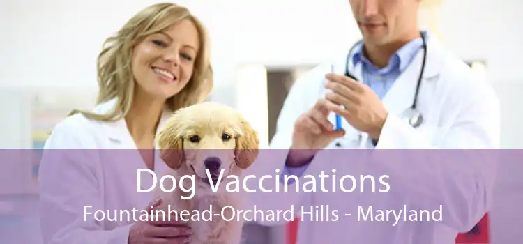 Dog Vaccinations Fountainhead-Orchard Hills - Maryland