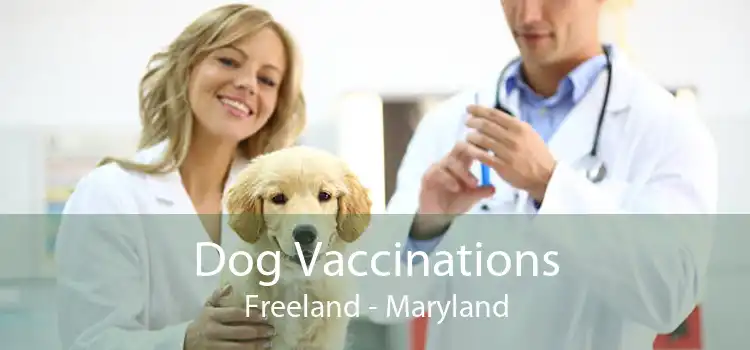 Dog Vaccinations Freeland - Maryland