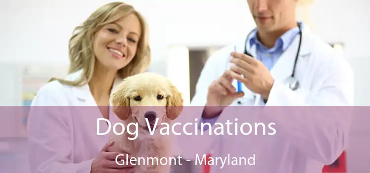 Dog Vaccinations Glenmont - Maryland