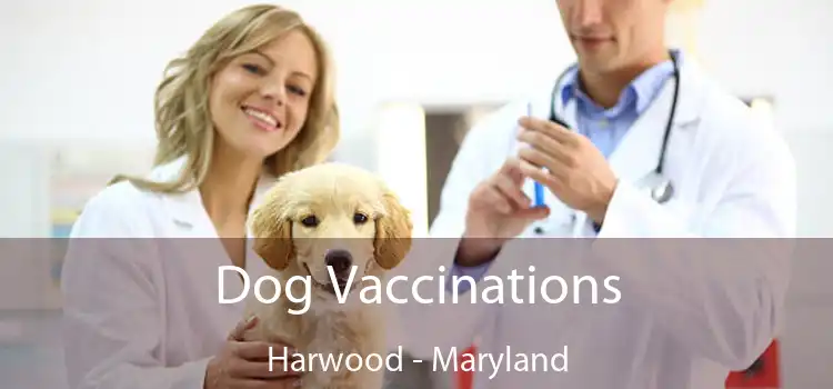 Dog Vaccinations Harwood - Maryland