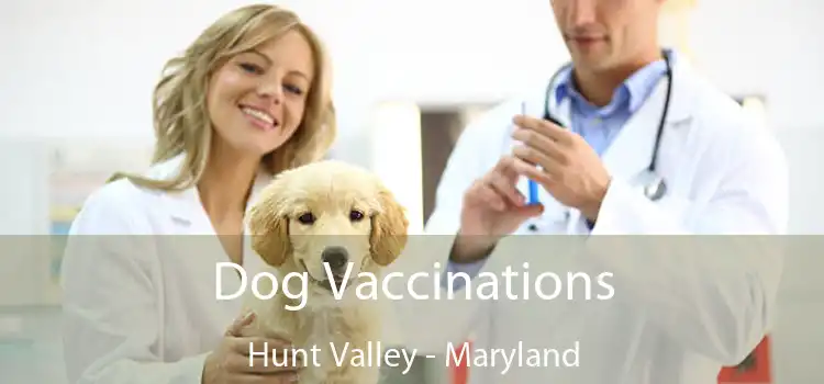 Dog Vaccinations Hunt Valley - Maryland