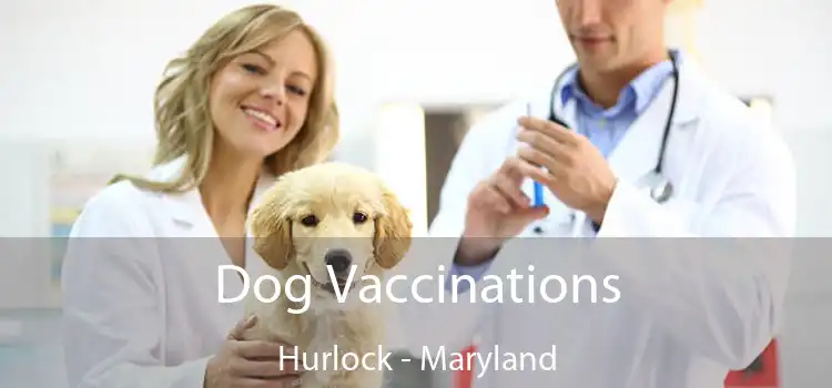 Dog Vaccinations Hurlock - Maryland