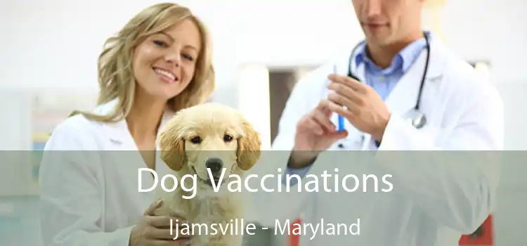 Dog Vaccinations Ijamsville - Maryland