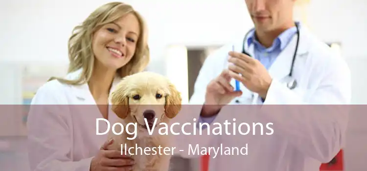 Dog Vaccinations Ilchester - Maryland