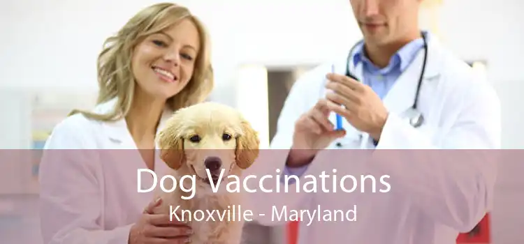 Dog Vaccinations Knoxville - Maryland