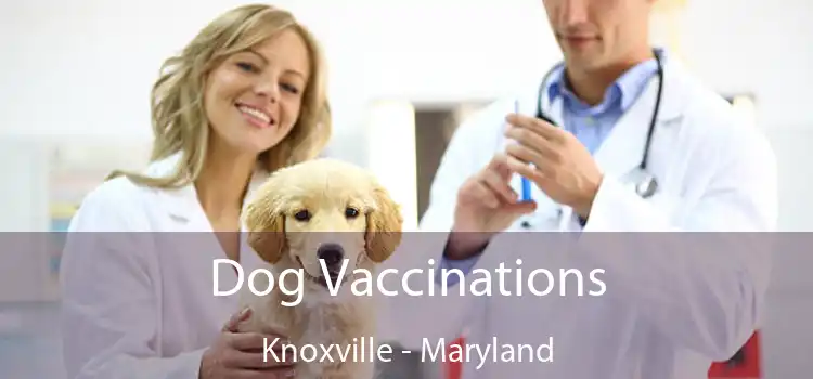Dog Vaccinations Knoxville - Maryland