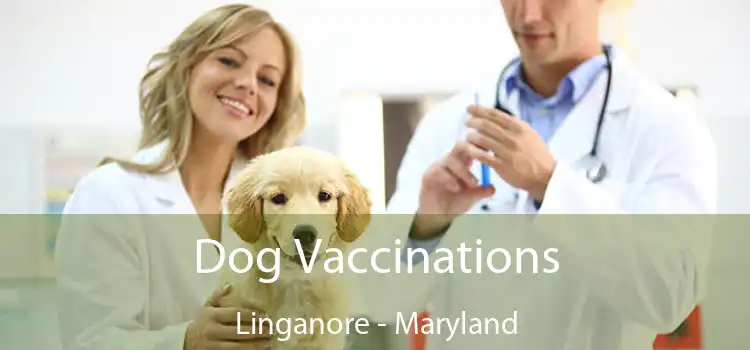 Dog Vaccinations Linganore - Maryland