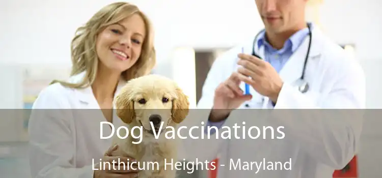 Dog Vaccinations Linthicum Heights - Maryland