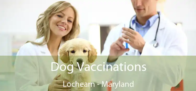 Dog Vaccinations Lochearn - Maryland