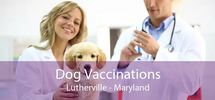 Dog Vaccinations Lutherville - Maryland