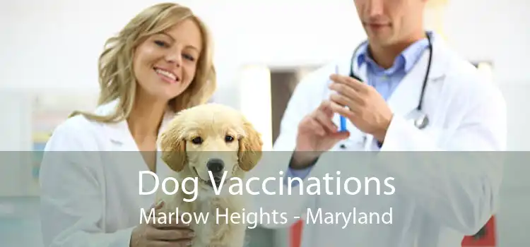 Dog Vaccinations Marlow Heights - Maryland