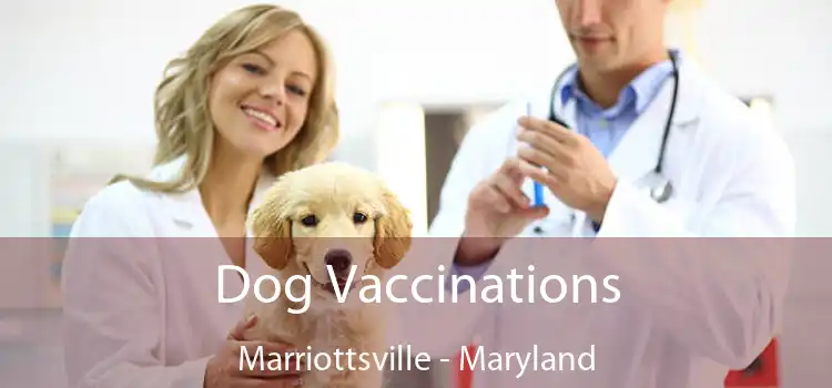 Dog Vaccinations Marriottsville - Maryland