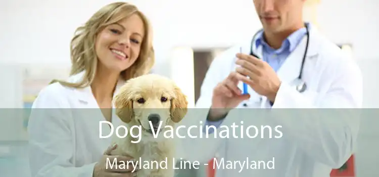 Dog Vaccinations Maryland Line - Maryland