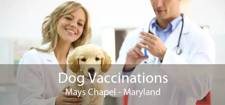 Dog Vaccinations Mays Chapel - Maryland