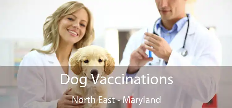 Dog Vaccinations North East - Maryland