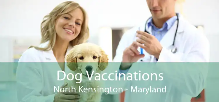 Dog Vaccinations North Kensington - Maryland