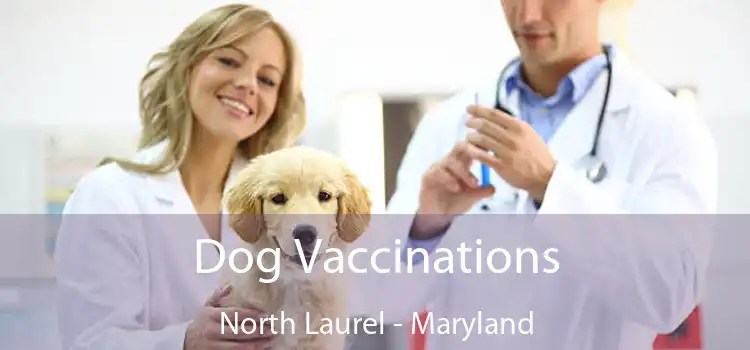 Dog Vaccinations North Laurel - Maryland