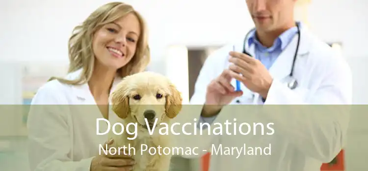 Dog Vaccinations North Potomac - Maryland