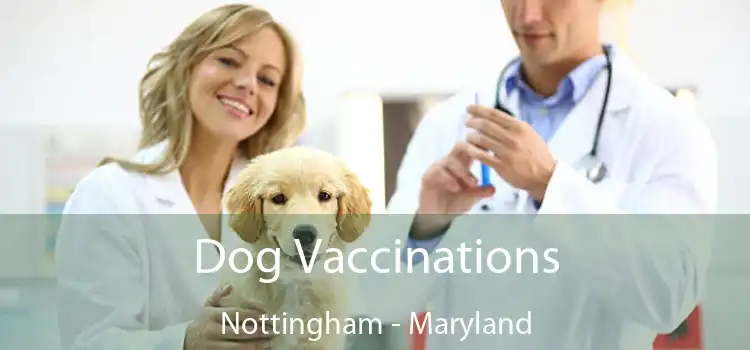 Dog Vaccinations Nottingham - Maryland