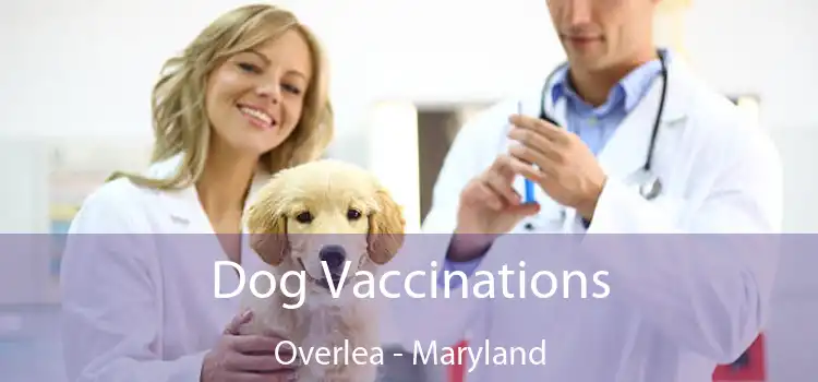 Dog Vaccinations Overlea - Maryland